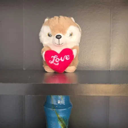 Palio House Montluc Apartment Siena